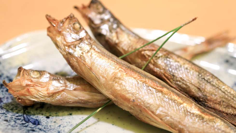 本物のししゃも は北海道でしか獲れない 普段食べてるのは代用魚って本当 Pikule ピクル 北海道ローカル情報webマガジン