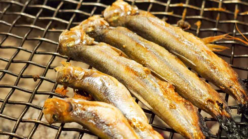 本物のししゃも は北海道でしか獲れない 普段食べてるのは代用魚って本当 Pikule ピクル 北海道ローカル情報webマガジン
